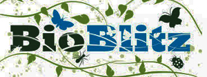BioBlitz Logo 2